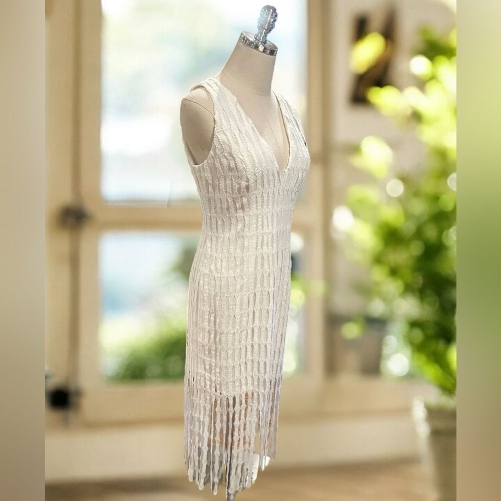 NWT Monique Lhuillier Embroidered Fringe Midi Cocktail Dress - Picture 6 of 16